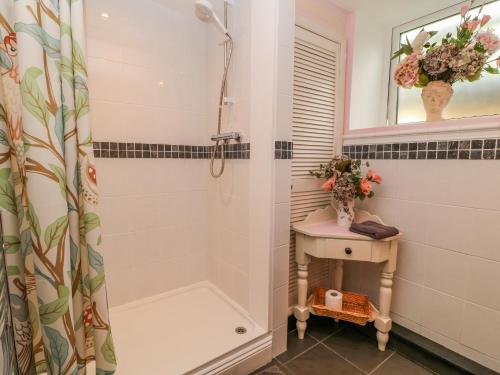 W łazience znajduje się prysznic i umywalka. w obiekcie Lily Pad w mieście Okehampton