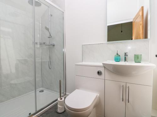W łazience znajduje się toaleta, umywalka i prysznic. w obiekcie Trefechan - 4 Plough & Harrow w mieście Cowbridge