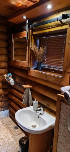 a bathroom with a white sink and a window at NPLIHOUSE in Otepää