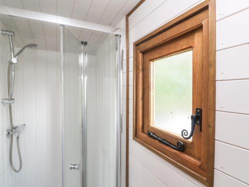 a bathroom with a shower and a window at Fern in Bude