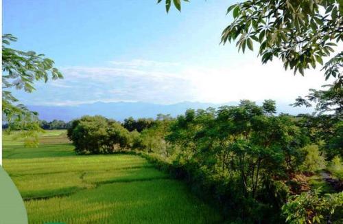 a green field with trees and mountains in the distance at The Riverwood Forest Retreat Dooars - fully vaccinated staff in Neorā Nadī