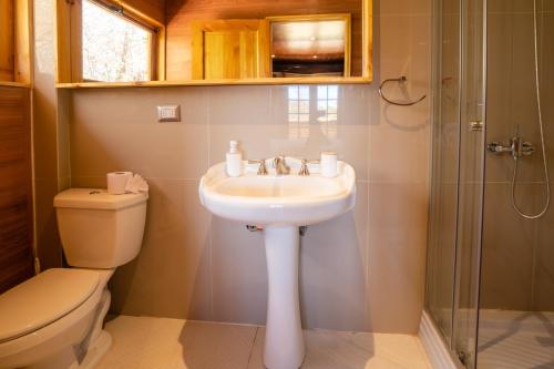 a bathroom with a sink and a toilet and a shower at Foresta Atacama Lodge in San Pedro de Atacama