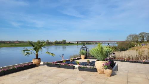 a row of potted plants in front of a river at Bed & Breakfast Trouwborst in Rhenen