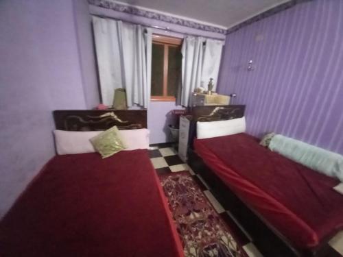 two beds in a room with purple walls and a window at Sabrina home in Aswan