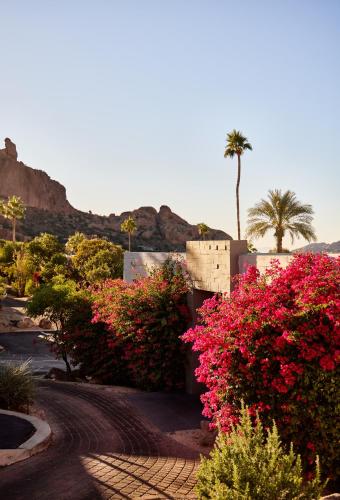 a garden with pink flowers and a palm tree at Sanctuary Camelback Mountain Resort and Spa in Scottsdale