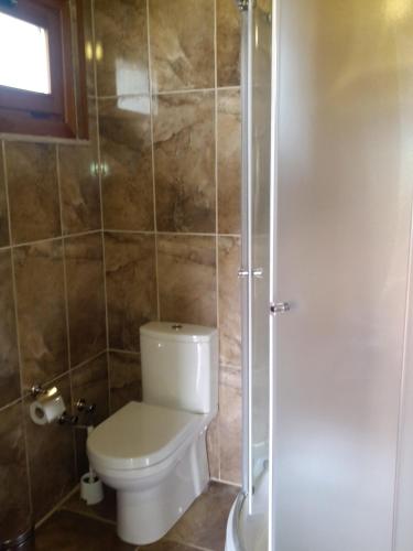 a bathroom with a toilet and a shower at Sakin Vadi Winehouse in Orhaniye