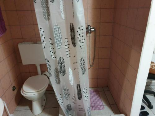 y baño con aseo y cortina de ducha. en Apartmant en Donji Miholjac
