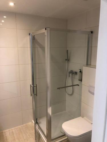 a shower with a toilet in a bathroom at Apartament studio Czarna Góra II in Sienna