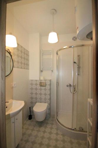 a bathroom with a shower and a toilet and a sink at Ali4 in Sosnowiec