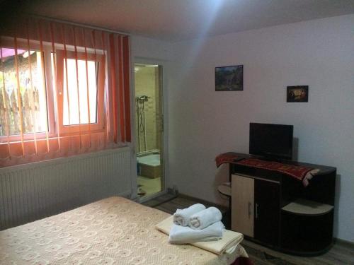 um quarto com uma cama e uma casa de banho com um chuveiro em Casa Ion em Horezu
