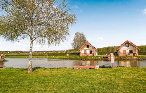 a tree in the grass next to a lake with houses at Lovely Home In Gubin With Sauna in Gubin