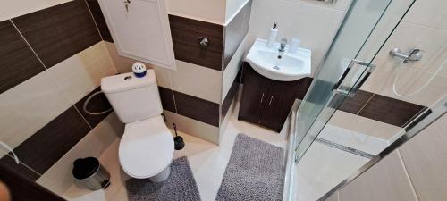 a small bathroom with a toilet and a sink at Apartmán Zemplín in Michalovce