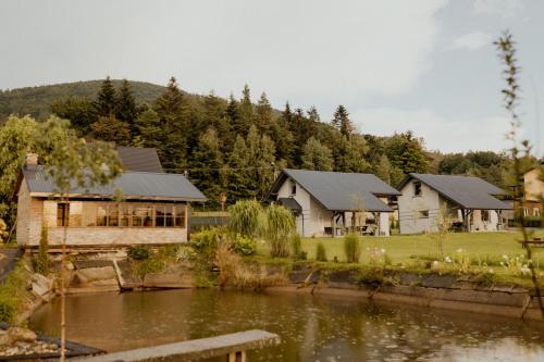 a group of houses next to a body of water at Lipa pod groniem in Ustroń