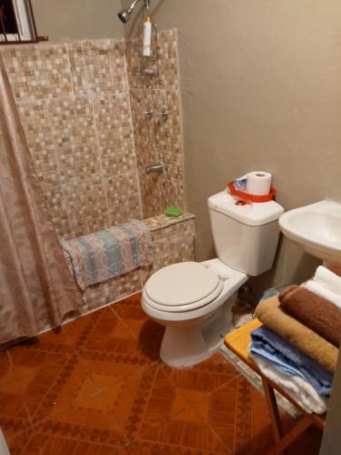 a bathroom with a toilet and a shower and a sink at Inviting 2-Bed House in Fair Prospect in Port Antonio