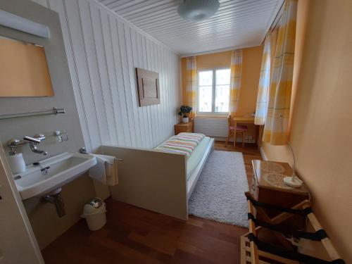 un piccolo bagno con lavandino e lavandino di B&B Gästehaus Rössli Schwellbrunn a Schwellbrunn