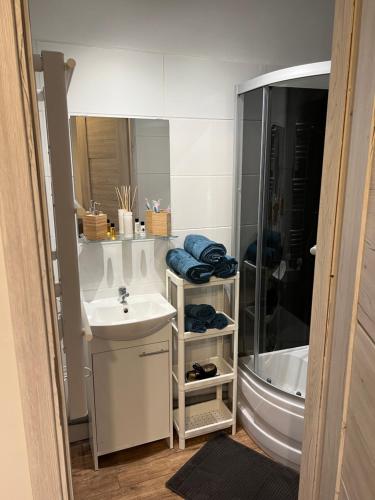 W łazience znajduje się prysznic, umywalka i wanna. w obiekcie Grand Central Apartments w mieście Katowice