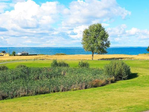 a tree in a field with the ocean in the background at 7 person holiday home in Brenderup Fyn in Bro