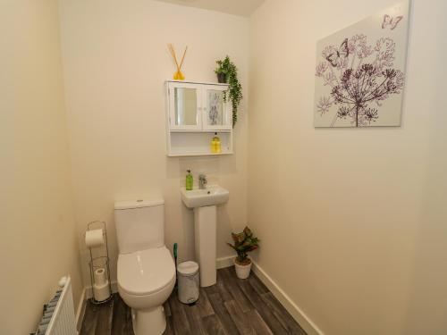 a bathroom with a toilet and a sink at 23 Moat House Close in Coventry