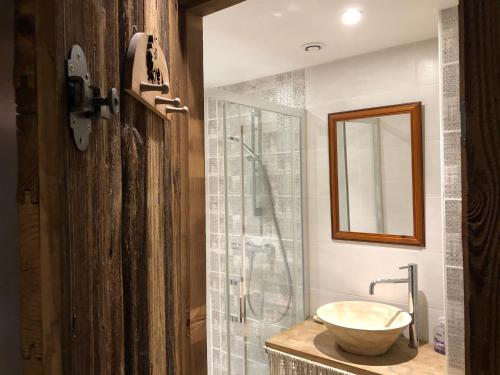een badkamer met een wastafel en een douche bij LE CHALET de la goutte in Saint-Appolinaire