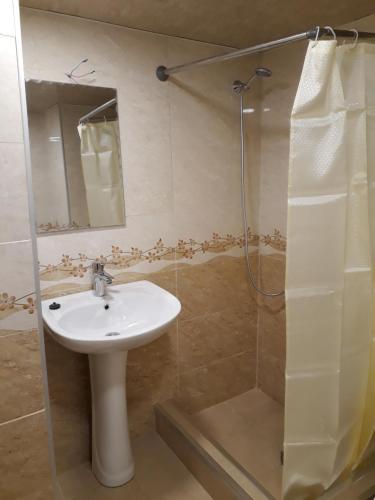 a bathroom with a sink and a shower at Apartment in the city center in Tbilisi City