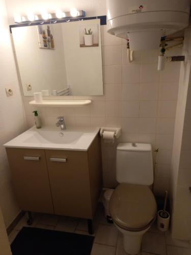 La petite salle de bains est pourvue de toilettes et d'un lavabo. dans l'établissement Cosi, à Balaruc-les-Bains