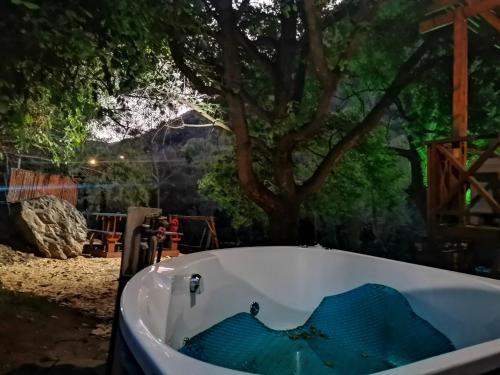 a bath tub sitting in front of a tree at Cango Retreat Quiet in Oudtshoorn