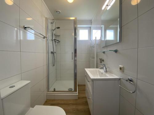 a bathroom with a shower and a toilet and a sink at Villa Christina in Stevensweert