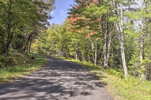 a dirt road with trees on both sides at Hurley Lakefront Hideaway with Fire Pit and Dock! in Hurley