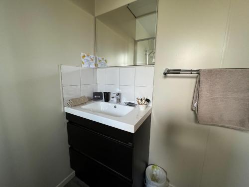 a bathroom with a sink and a mirror at Golden Leaf Apartments in Invercargill