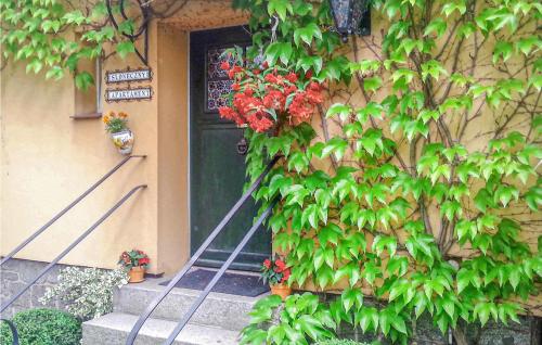 a front door of a house with a plant at Gorgeous Apartment In Sobótka With Wifi in Sobótka