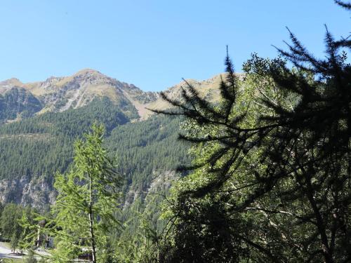 Appartement Confort 2 Pièces, 6 Personnes, Piste Accès Direct, Balcon Ouest, Les Orres - FR-1-322-492
