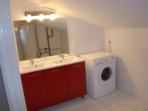 a bathroom with a sink and a washing machine at Les Gîtes Malidri in Pontonx-sur-lʼAdour