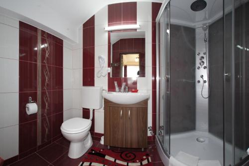 a bathroom with a toilet and a sink and a shower at Pensiunea Muresul in Târgu-Mureş