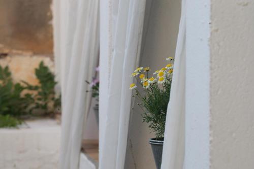 Fotografie z fotogalerie ubytování BYPILLOW Cluc Begur v destinaci Begur