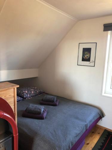 a bedroom with two beds in a attic at Vanaga namiņš in Sigulda