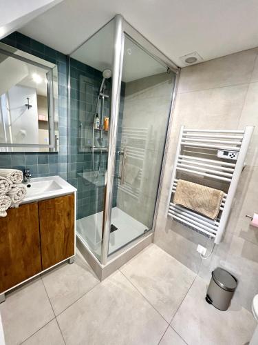 une salle de bain avec douche et lavabo dans l'établissement Appartement au centre de Toulouse, à Toulouse