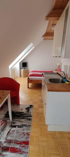 Kuchyň nebo kuchyňský kout v ubytování Haus Elsasser