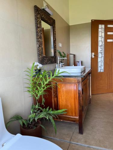 uma casa de banho com lavatório, espelho e plantas em Titha Service Villa em Santhanpara