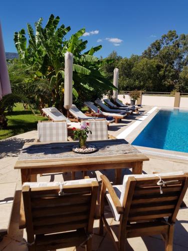 達里揚的住宿－Villa Bade，游泳池旁的一张木桌和椅子