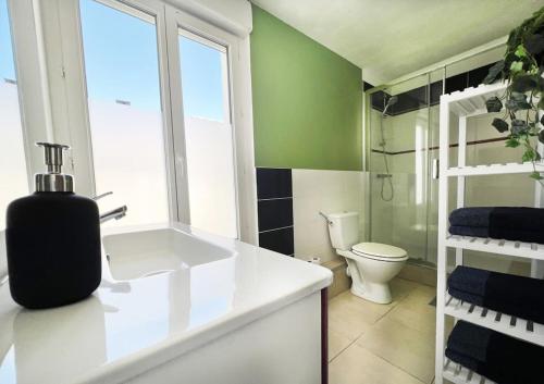 een badkamer met een witte wastafel en een toilet bij Charmant T3 en plein centre du Bousquet-d'Orb in Le Bousquet-dʼOrb