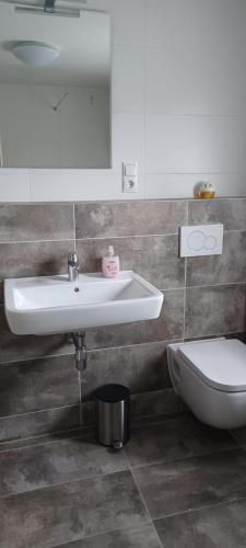 a bathroom with a sink and a toilet at Ferienwohnung am Brohlbach in Gamlen