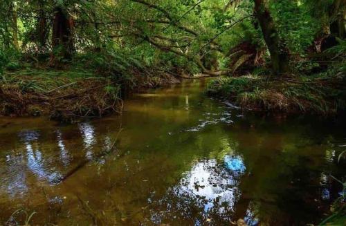 Foto dalla galleria di Paradise Valley River Lodge a Rotorua