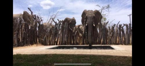 una estatua de un elefante parada junto a una fuente en iMbamuweti Cottage, en Grietjie Game Reserve
