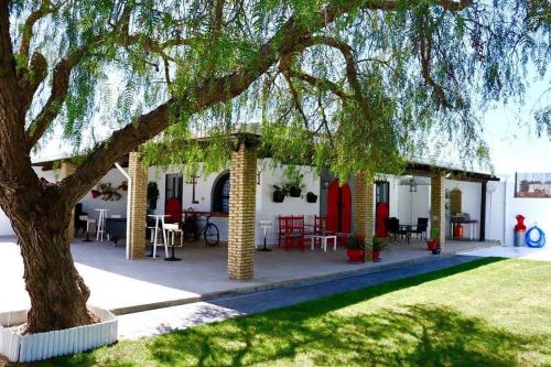un patio con un árbol, mesas y sillas en Apartamento “Las Cuadras “, en Cádiz