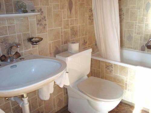ein Badezimmer mit einem Waschbecken, einem WC und einer Badewanne in der Unterkunft Hotel Rothorn in Schwanden