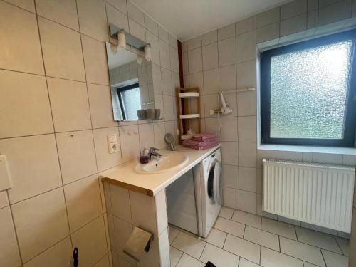 un bagno con lavandino e lavatrice di Ferien im Westerwald a Quirnbach