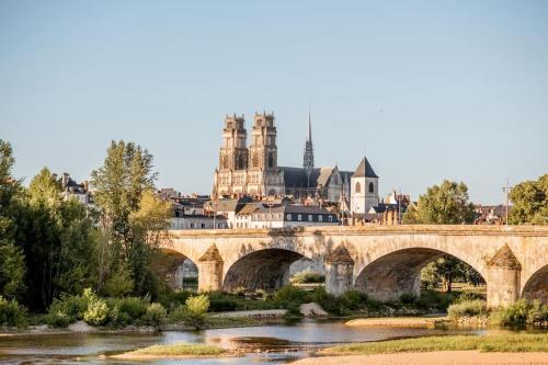 un puente sobre un río con una ciudad en el fondo en Appartement cosy et lumineux accès centre Orléans, en Orléans