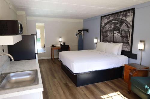 a hotel room with a bed and a sink at Super 8 by Wyndham Austin South I-35 in Austin