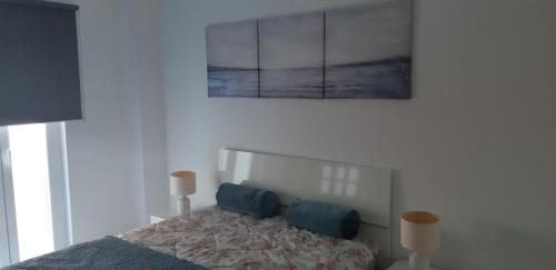 Zimbra Blue Apartment