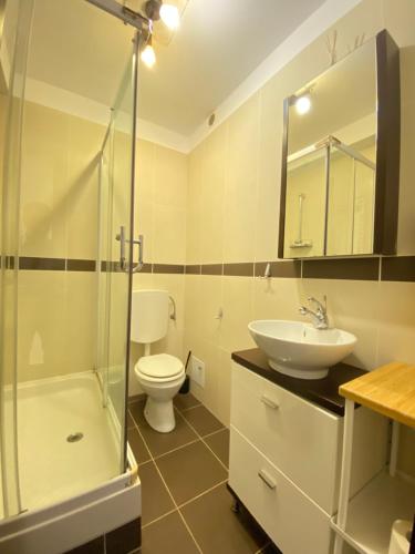 a bathroom with a toilet and a sink and a shower at Predeal Escape Apartment in Predeal